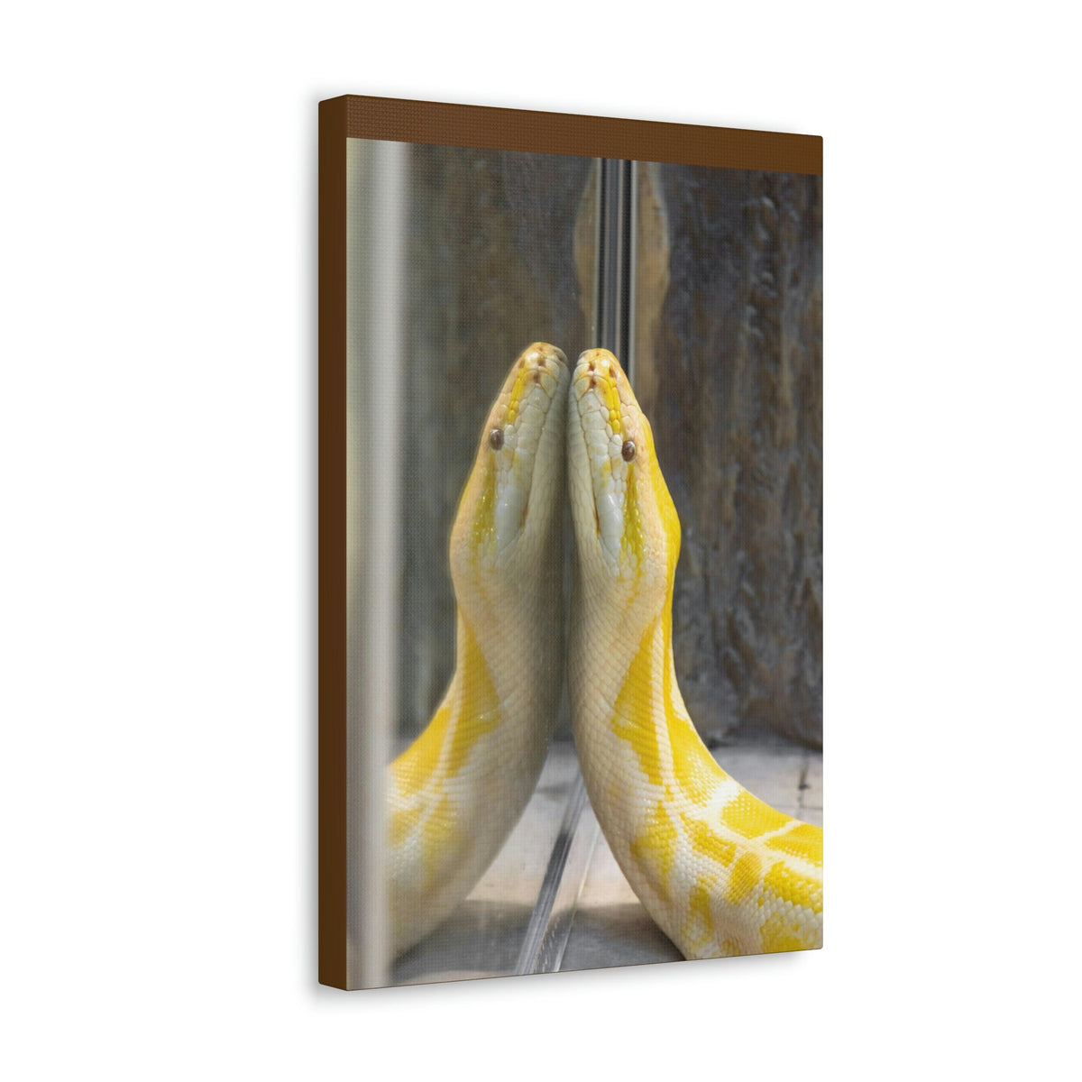 Funny Anaconda Silly Anaconda Inside Wall Art Ready to Hang Unframed-Express Your Love Gifts