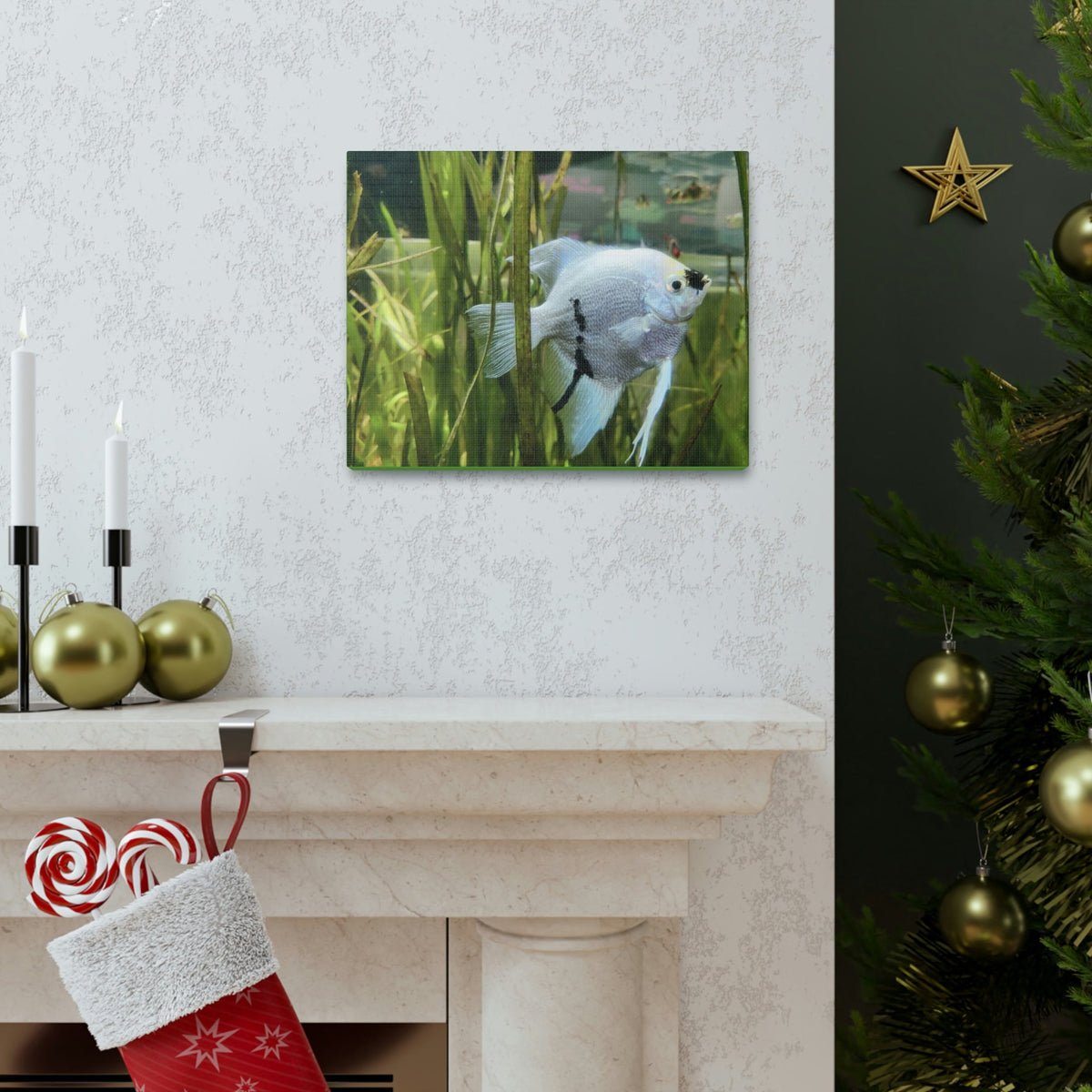 Funny Angel Fish Silly Angel Fish Inside Wall Art Ready to Hang Unframed-Express Your Love Gifts