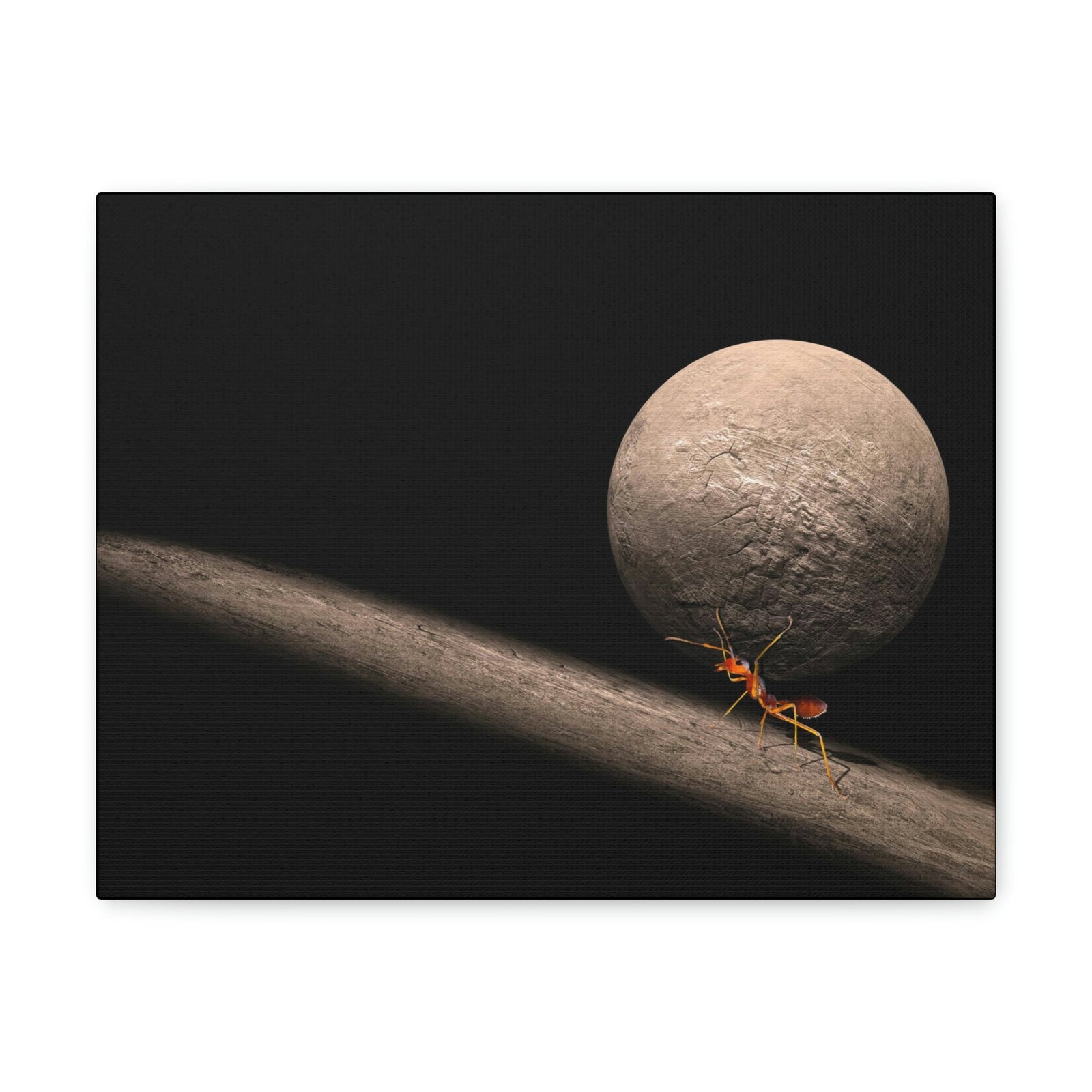 Funny Ant Silly Ant Inside Wall Art Ready to Hang Unframed-Express Your Love Gifts