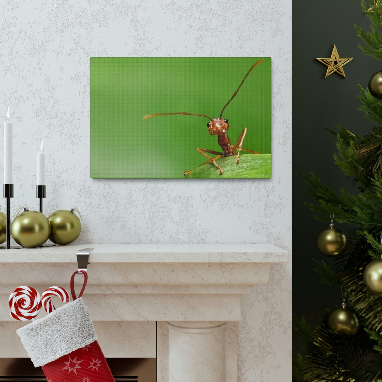 Funny Ant Silly Ant Outside Wall Art Ready to Hang Unframed-Express Your Love Gifts