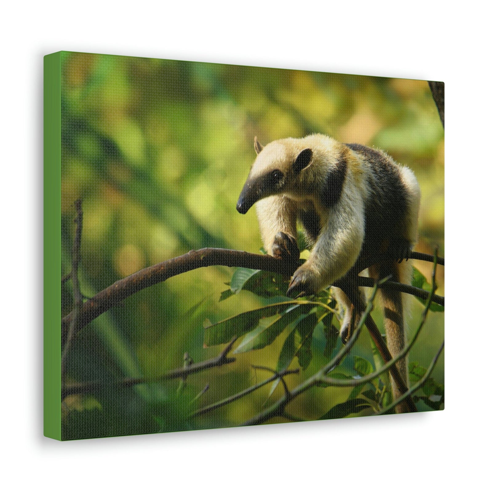 Funny Anteater Silly Anteater Outside Wall Art Ready to Hang Unframed-Express Your Love Gifts