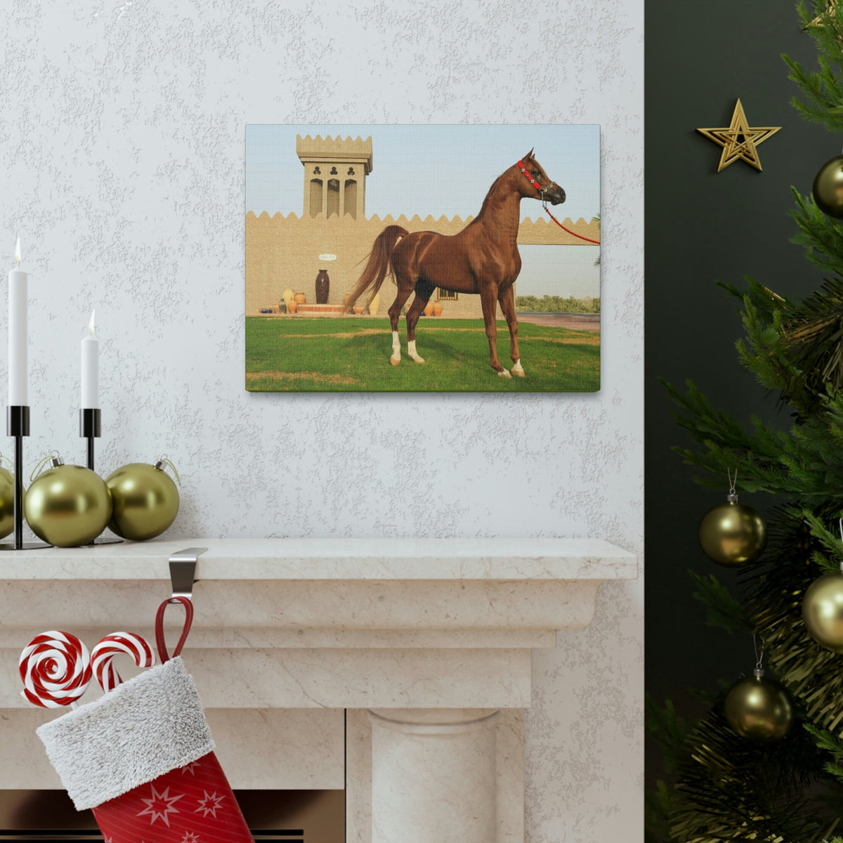 Funny Arab Horse Indoor Wall Art Ready to Hang Unframed-Express Your Love Gifts