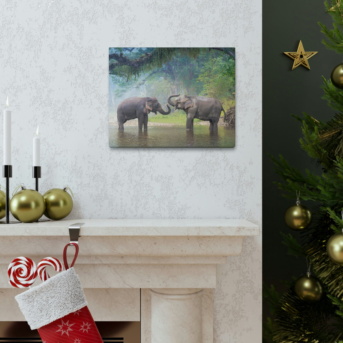 Funny Asian Elephant Silly Asian Elephant Couple Wall Art Ready to Hang Unframed-Express Your Love Gifts
