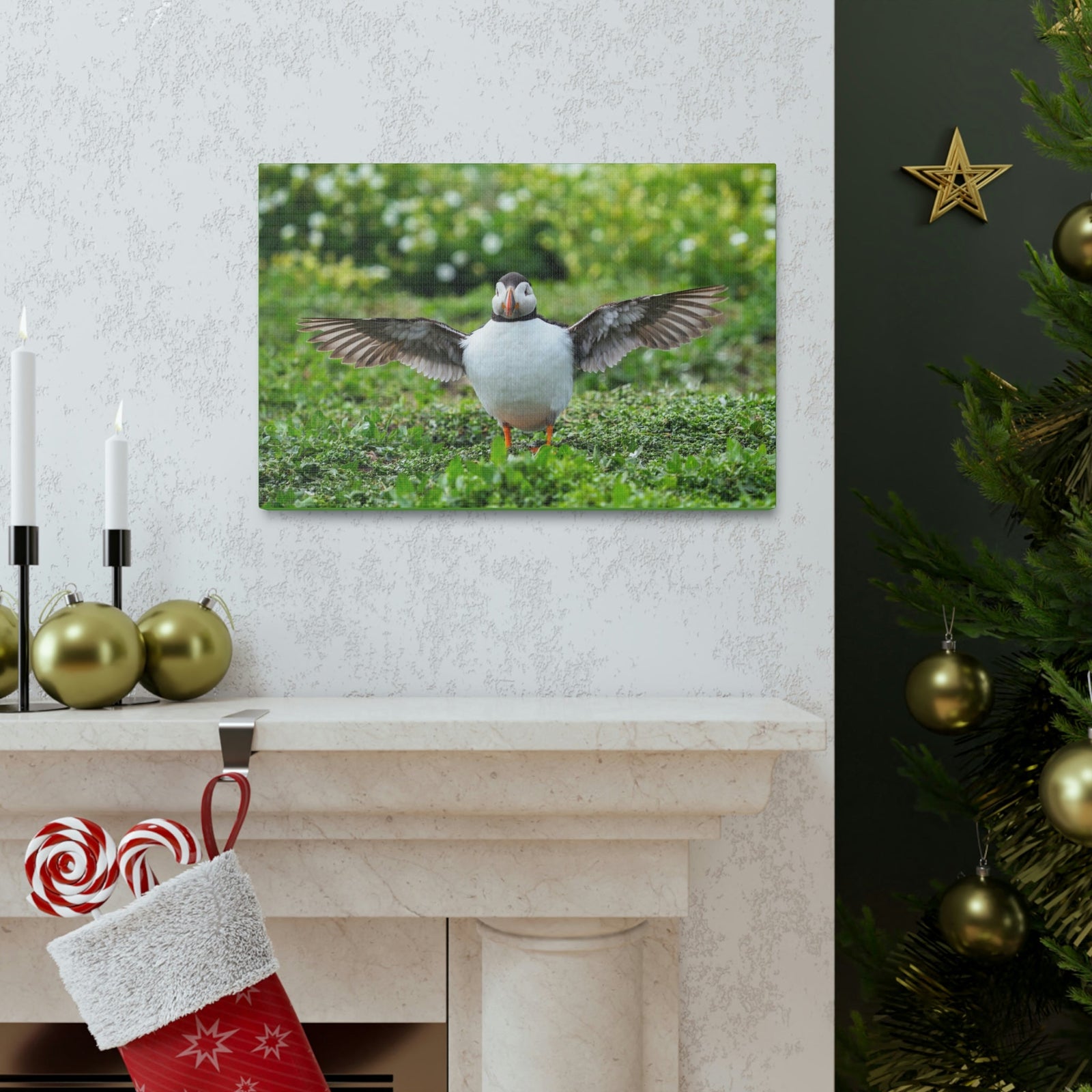 Funny Atlantic Puffin Outside Wall Art Ready to Hang Unframed-Express Your Love Gifts