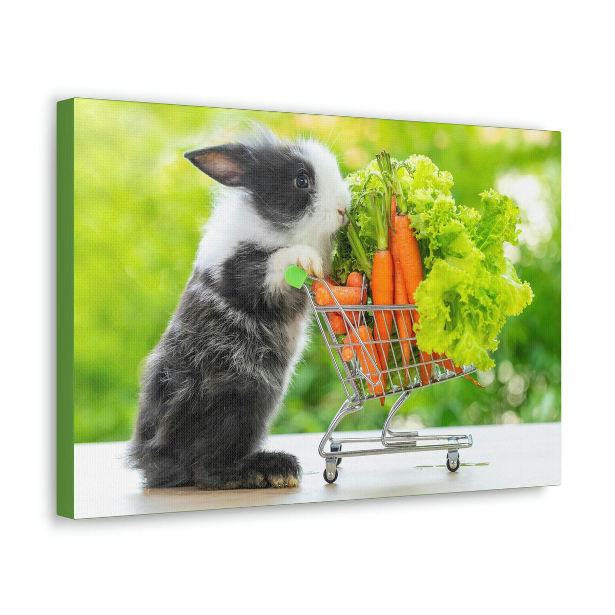 Funny Rabbit Silly Rabbit Outside Wall Art Ready to Hang Unframed-Express Your Love Gifts