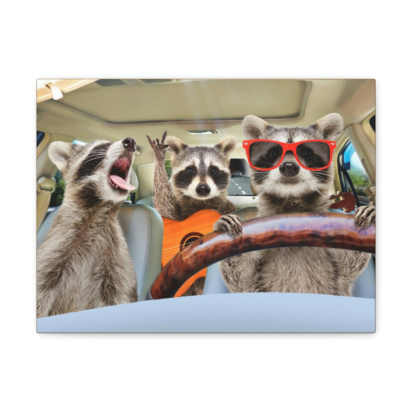 Funny Raccoon Silly Raccoon Couple Wall Art Ready to Hang Unframed-Express Your Love Gifts