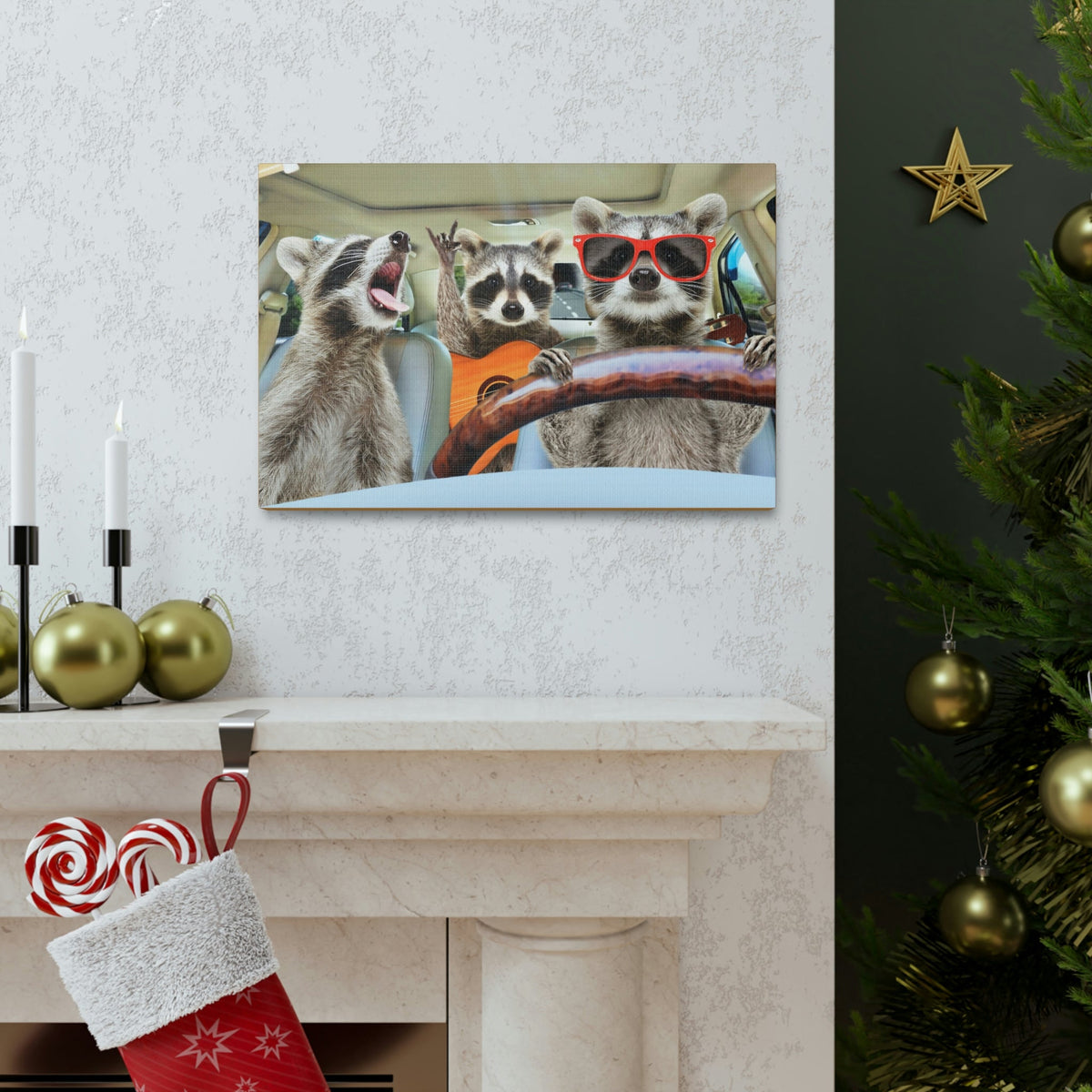 Funny Raccoon Silly Raccoon Couple Wall Art Ready to Hang Unframed-Express Your Love Gifts