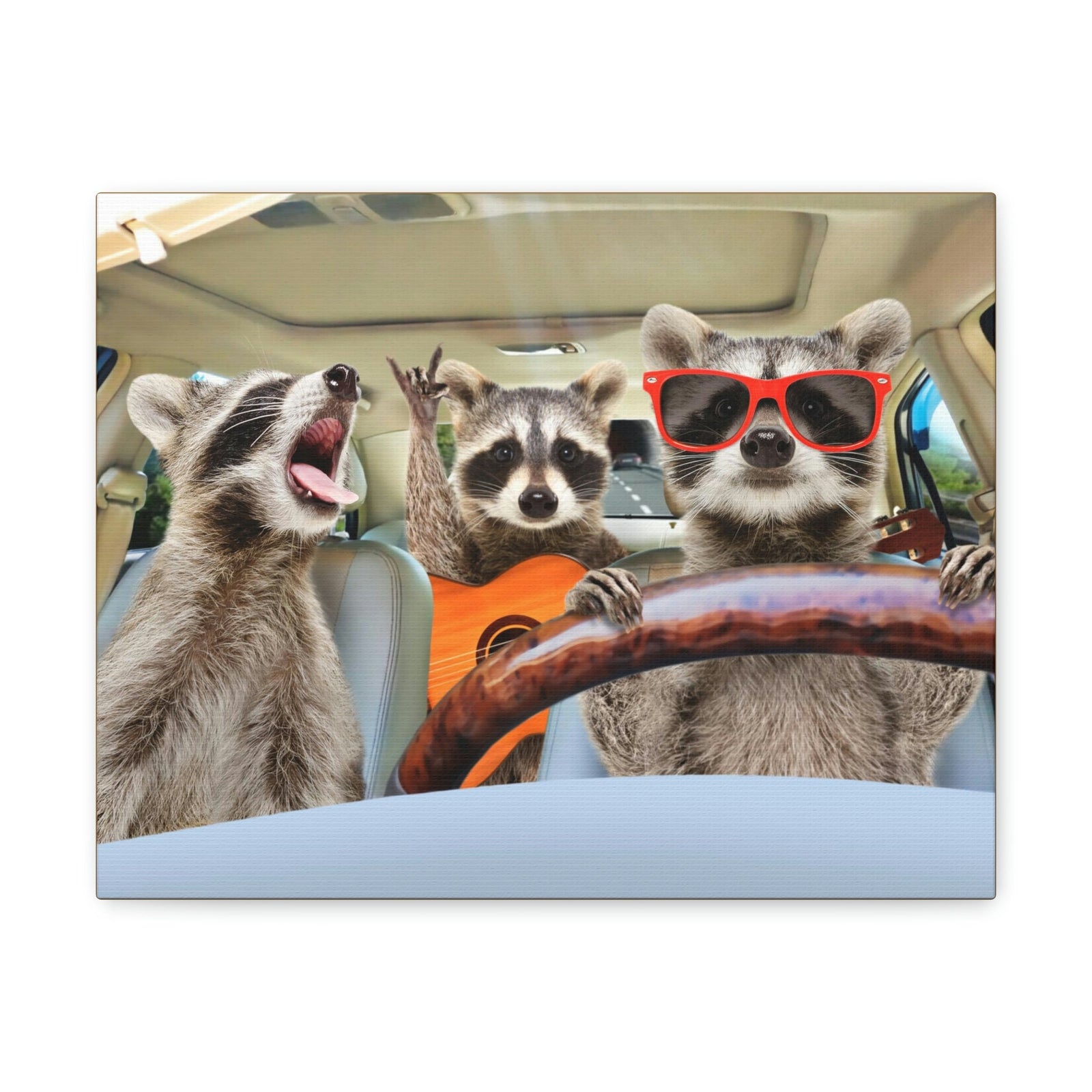 Funny Raccoon Silly Raccoon Couple Wall Art Ready to Hang Unframed-Express Your Love Gifts