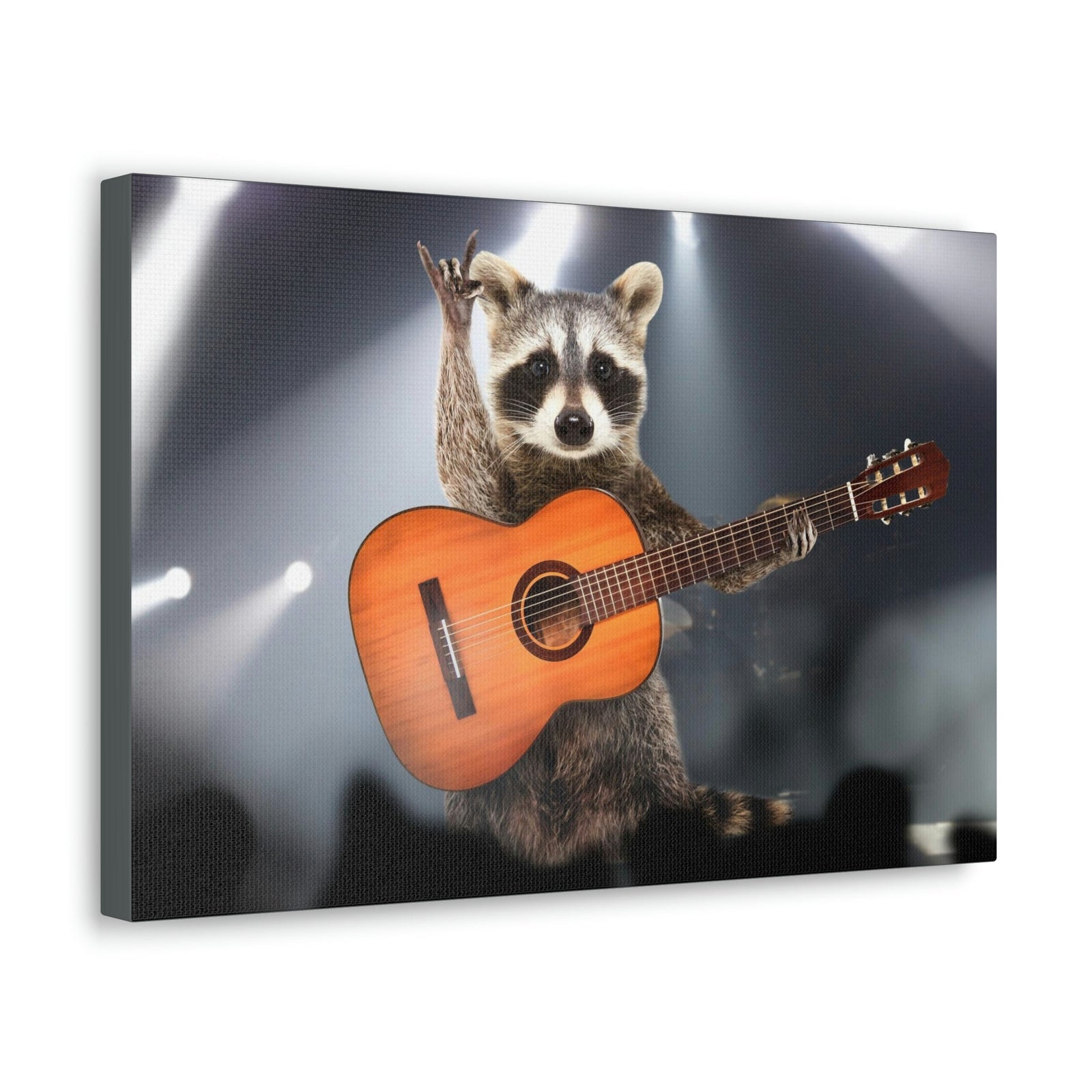 Funny Raccoon Silly Raccoon Inside Wall Art Ready to Hang Unframed-Express Your Love Gifts