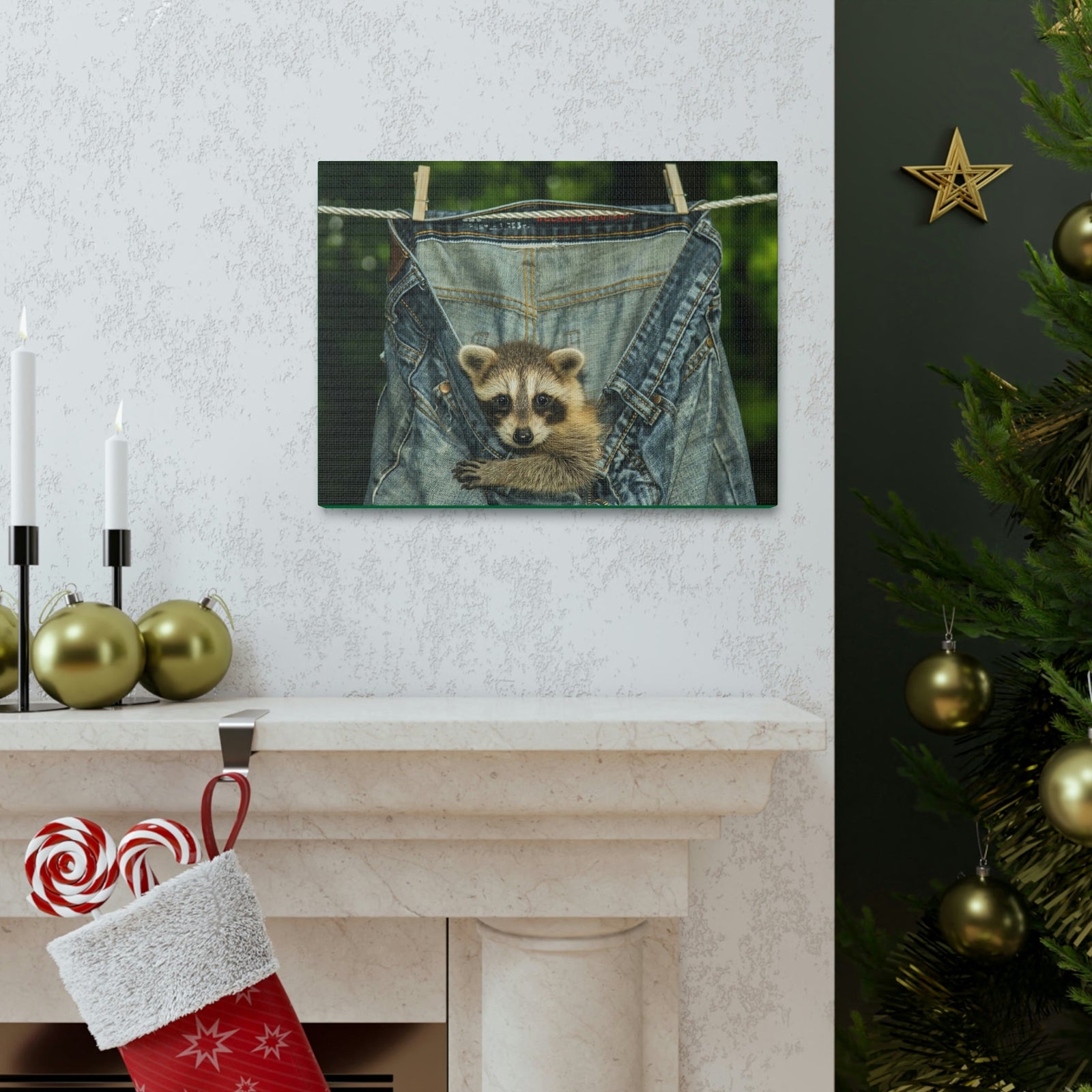 Funny Raccoon Silly Raccoon Outside Wall Art Ready to Hang Unframed-Express Your Love Gifts