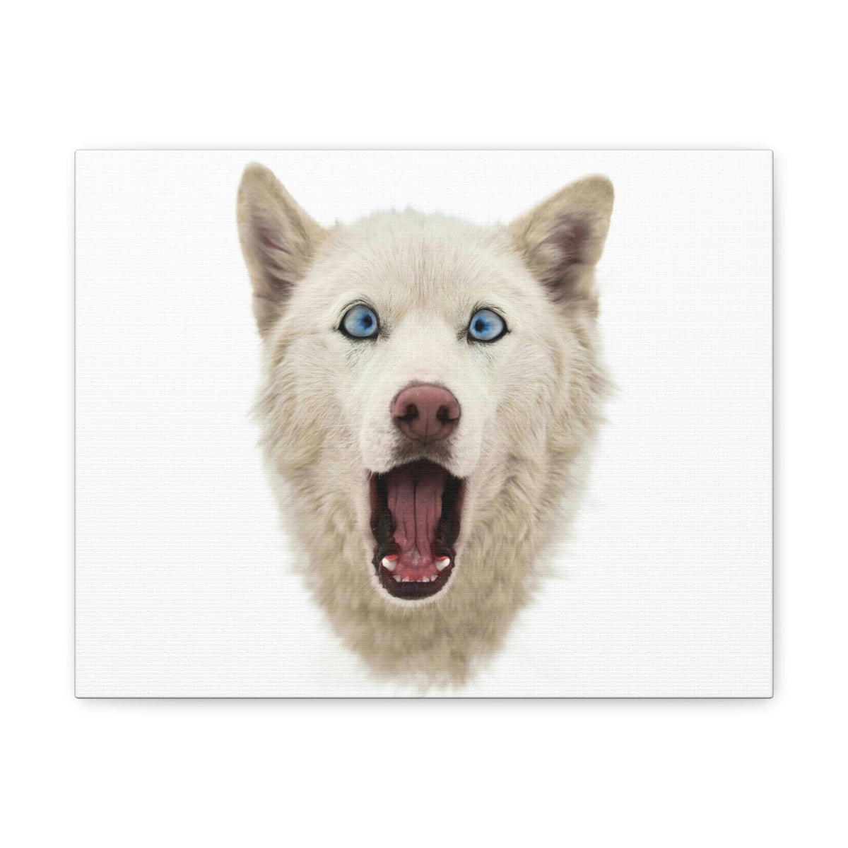 Funny Siberian Husky Silly Siberian Husky Inside Wall Art Ready to Hang Unframed-Express Your Love Gifts