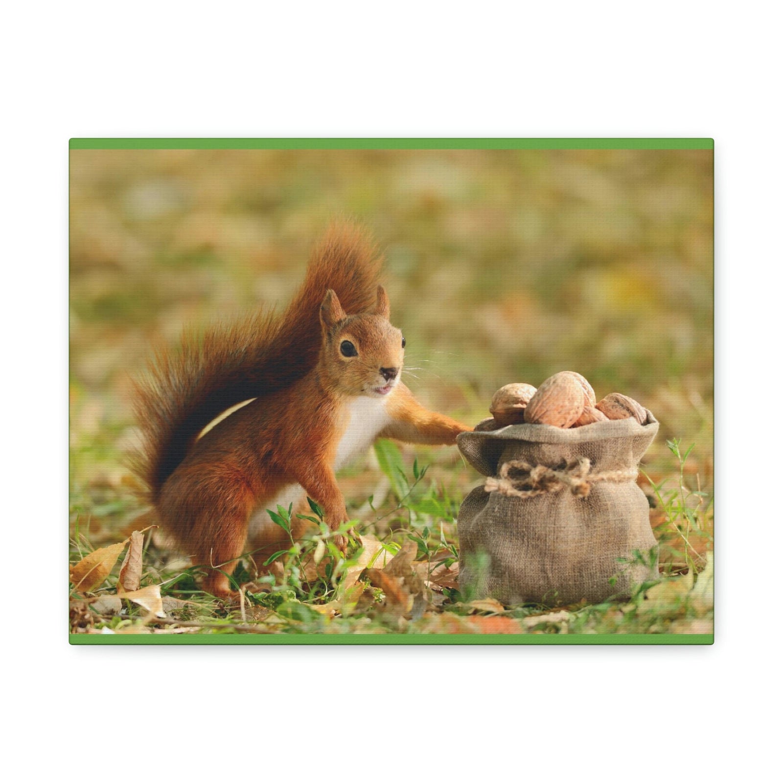 Funny Squirrel Silly Squirrel Outside Wall Art Ready to Hang Unframed-Express Your Love Gifts