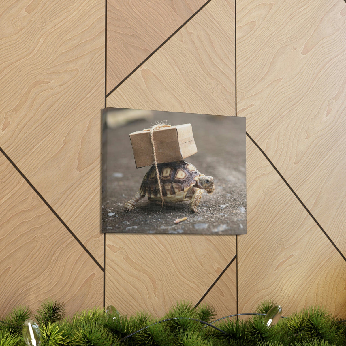 Funny Tortoise Silly Tortoise Outside Wall Art Ready to Hang Unframed-Express Your Love Gifts