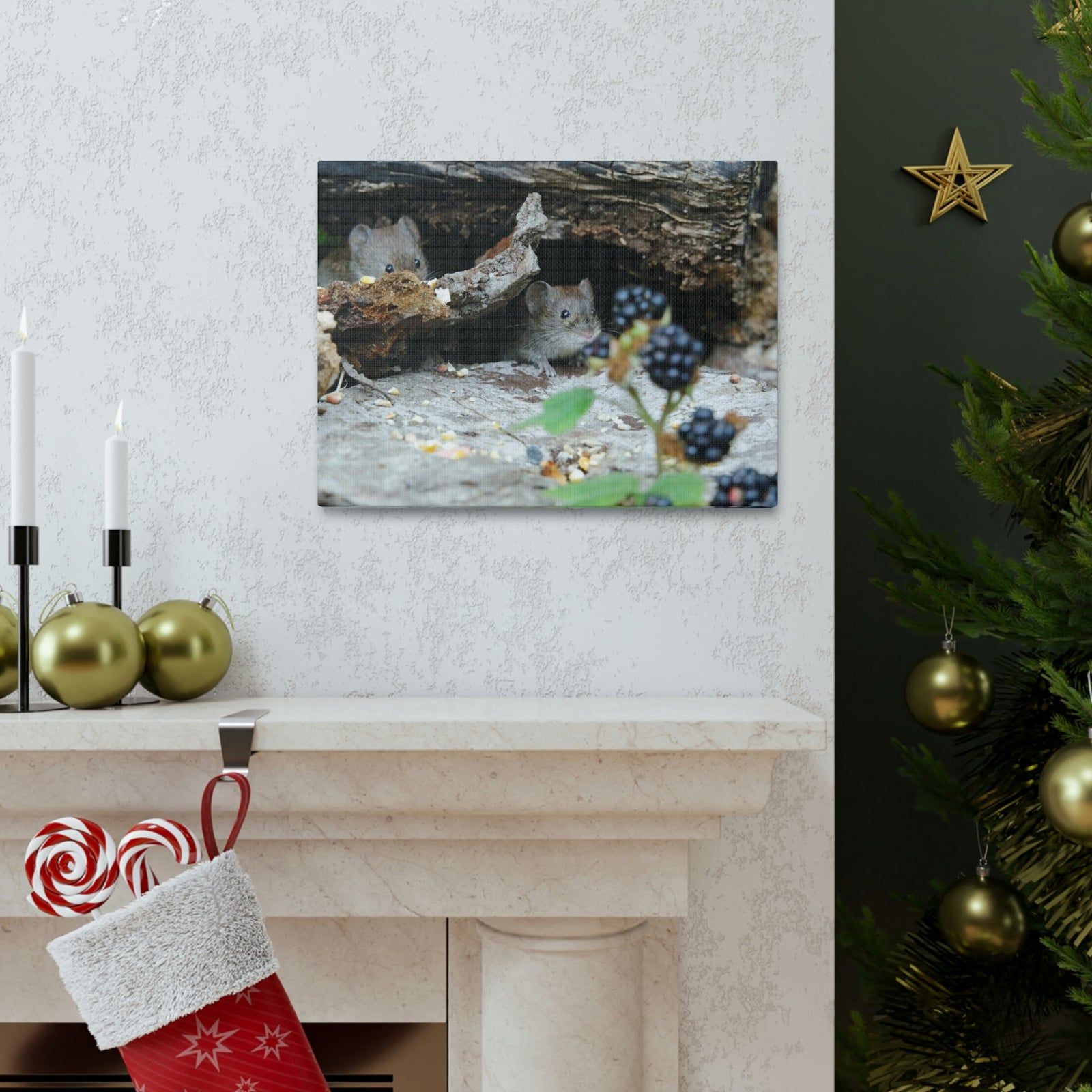 Funny Vole Silly Vole Scene Couple Wall Art Ready to Hang Unframed-Express Your Love Gifts