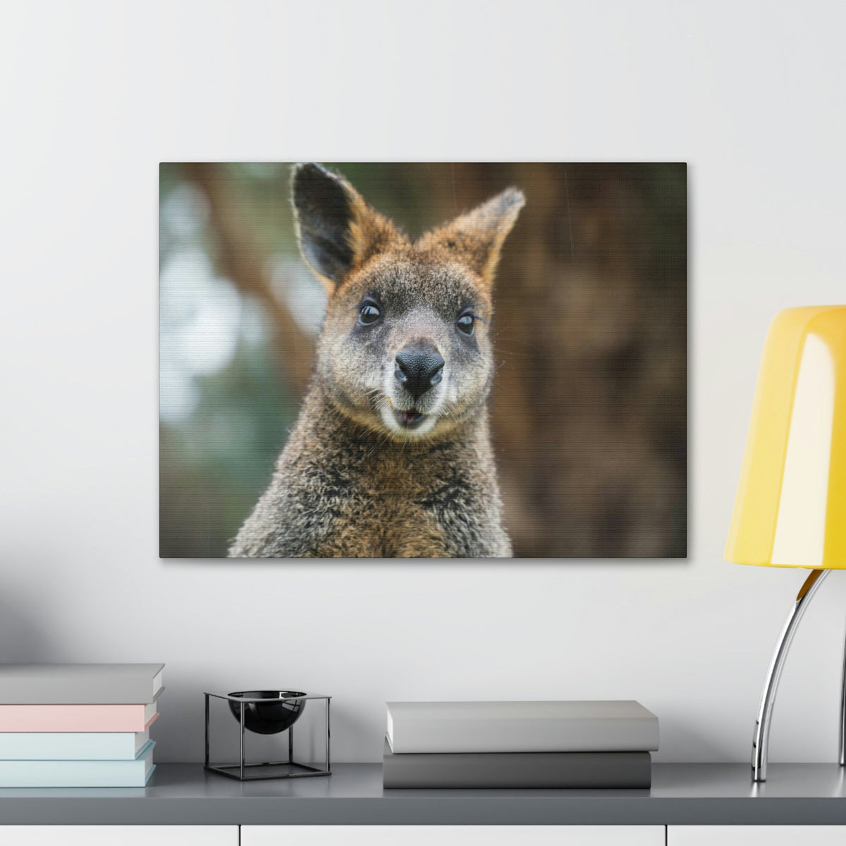 Funny Wallaby Silly Wallaby Scene Outside Wall Art Ready to Hang Unframed-Express Your Love Gifts