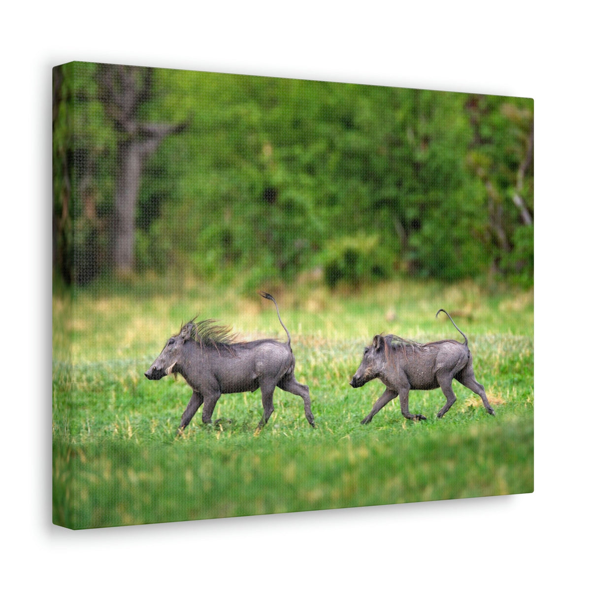 Funny Warthog Silly Warthog Scene Couple Wall Art Ready to Hang Unframed-Express Your Love Gifts