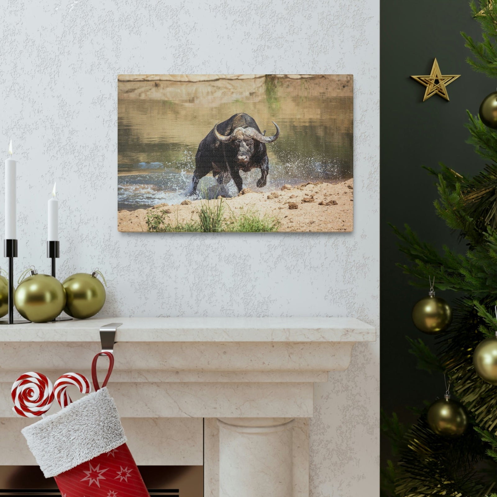 Funny Water Buffalo Silly Water Buffalo Scene Outside Wall Art Ready to Hang Unframed-Express Your Love Gifts