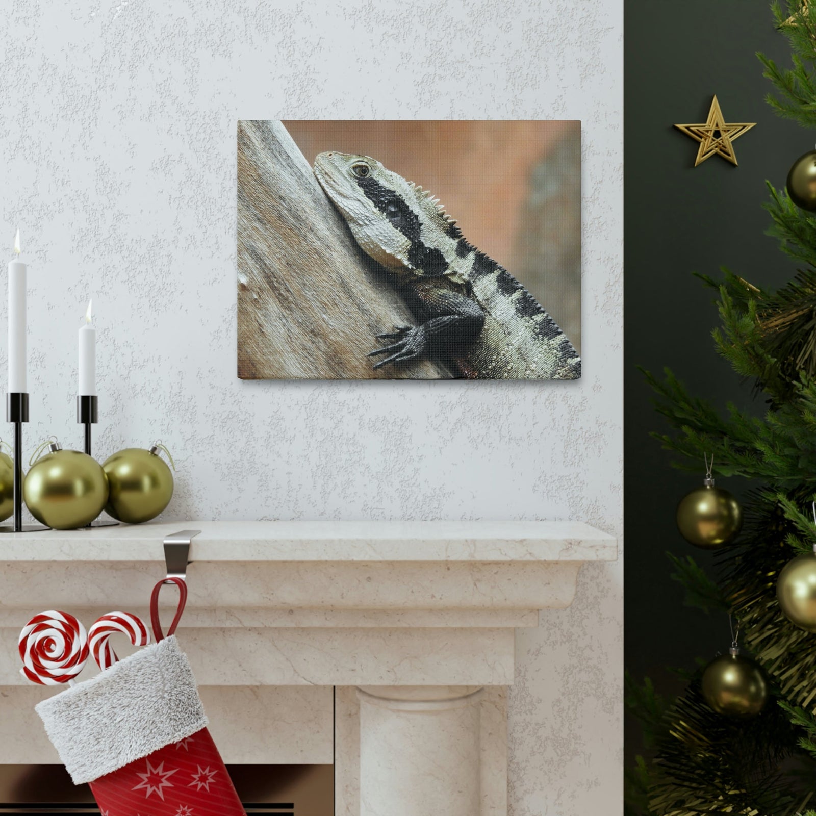 Funny Water Dragons Silly Water Dragons Scene Outside Wall Art Ready to Hang Unframed-Express Your Love Gifts