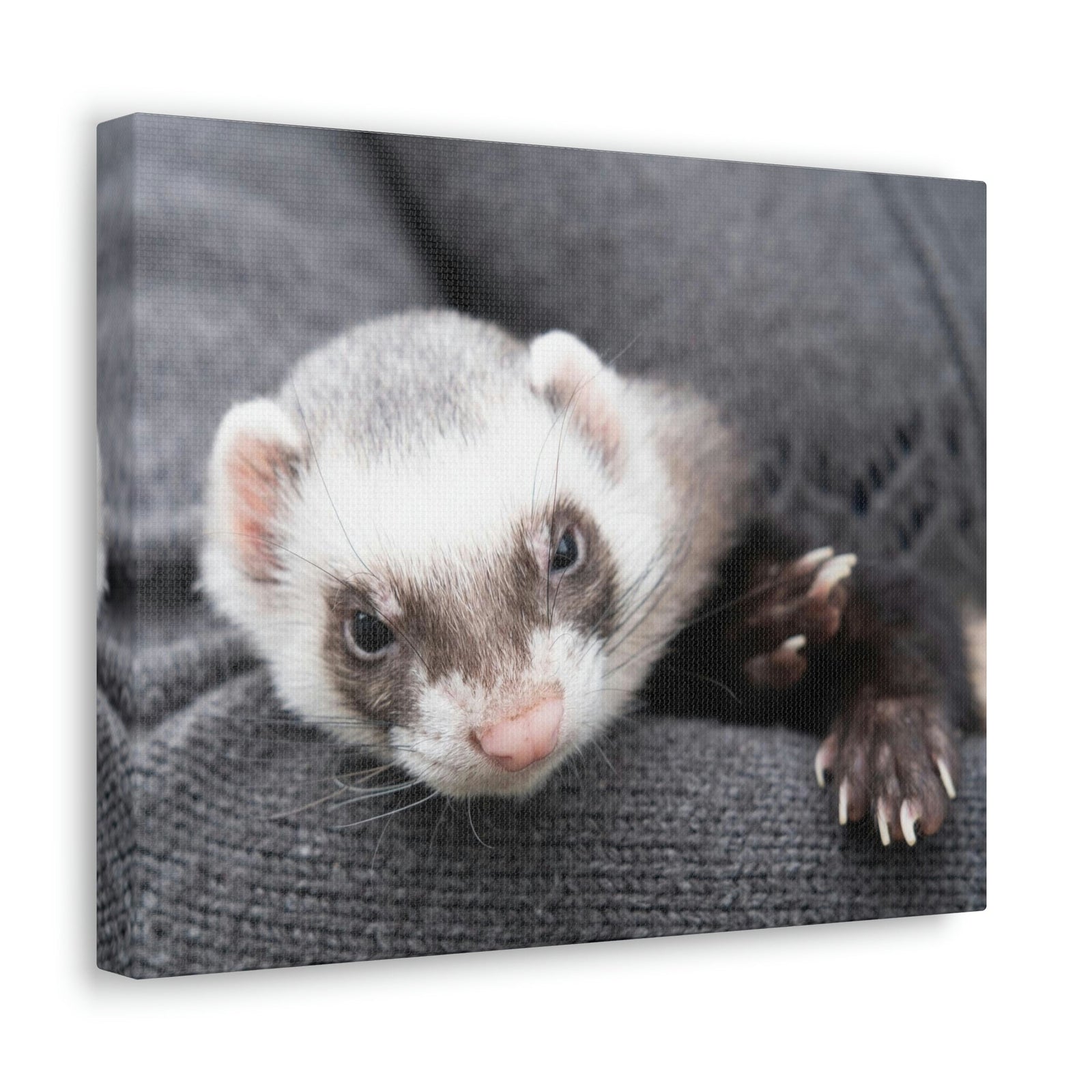 Funny Weasel Silly Weasel Scene Inside Wall Art Ready to Hang Unframed-Express Your Love Gifts