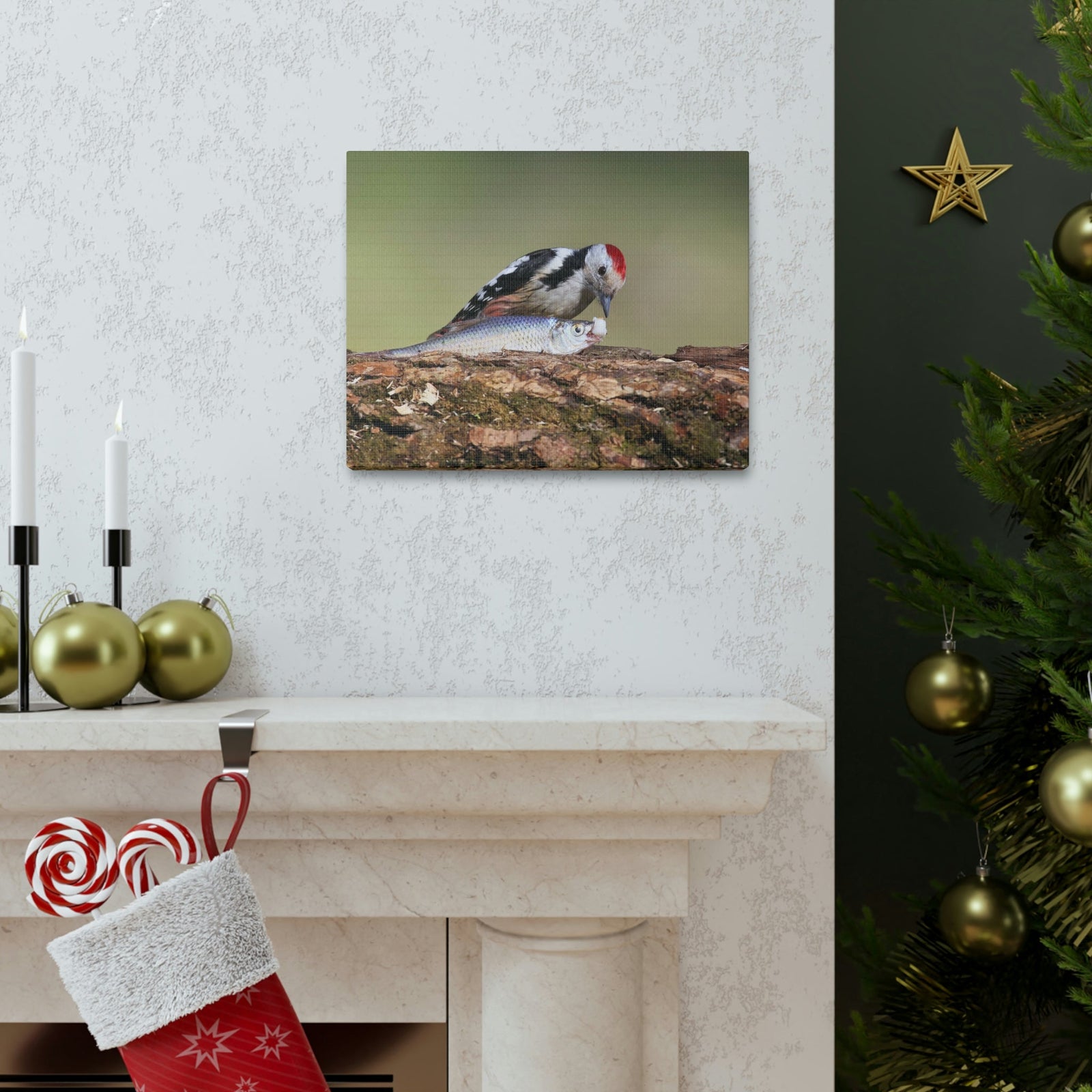 Funny Woodpecker Silly Woodpecker Scene Outside Wall Art Ready to Hang Unframed-Express Your Love Gifts