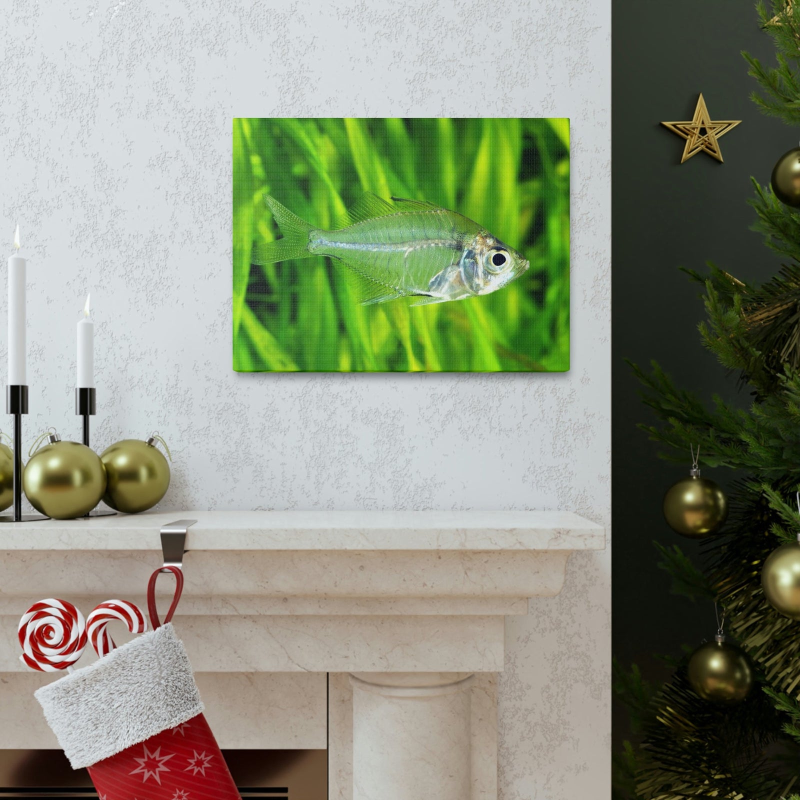 Funny X-Ray Fish Silly X-Ray Fish Scene Outside Wall Art Ready to Hang Unframed-Express Your Love Gifts