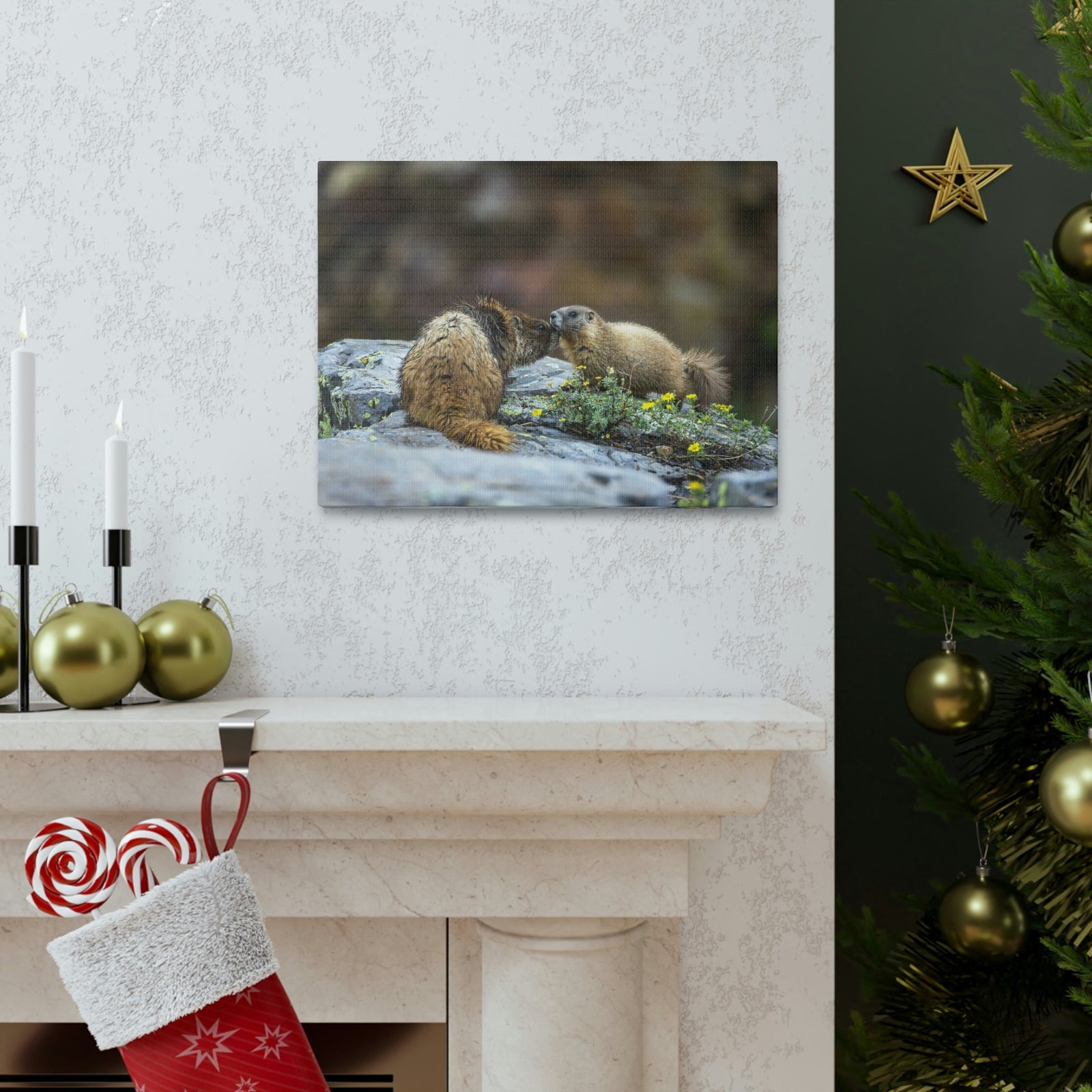 Funny Yellow Bellied Marmot Silly Yellow Bellied Marmot Scene Couple Wall Art Ready to Hang Unframed-Express Your Love Gifts