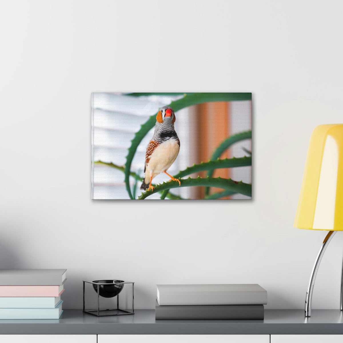 Funny Zebra Finch Silly Zebra Finch Scene Inside Wall Art Ready to Hang Unframed-Express Your Love Gifts