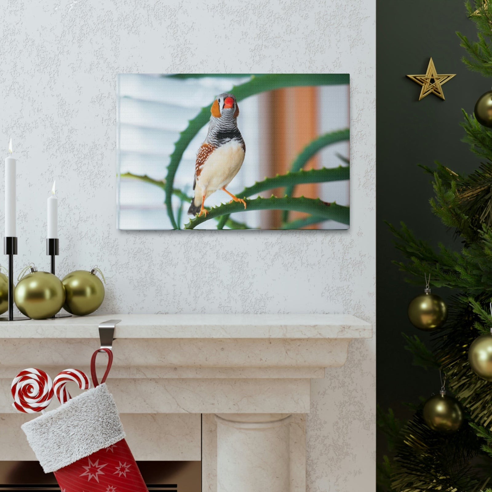 Funny Zebra Finch Silly Zebra Finch Scene Inside Wall Art Ready to Hang Unframed-Express Your Love Gifts