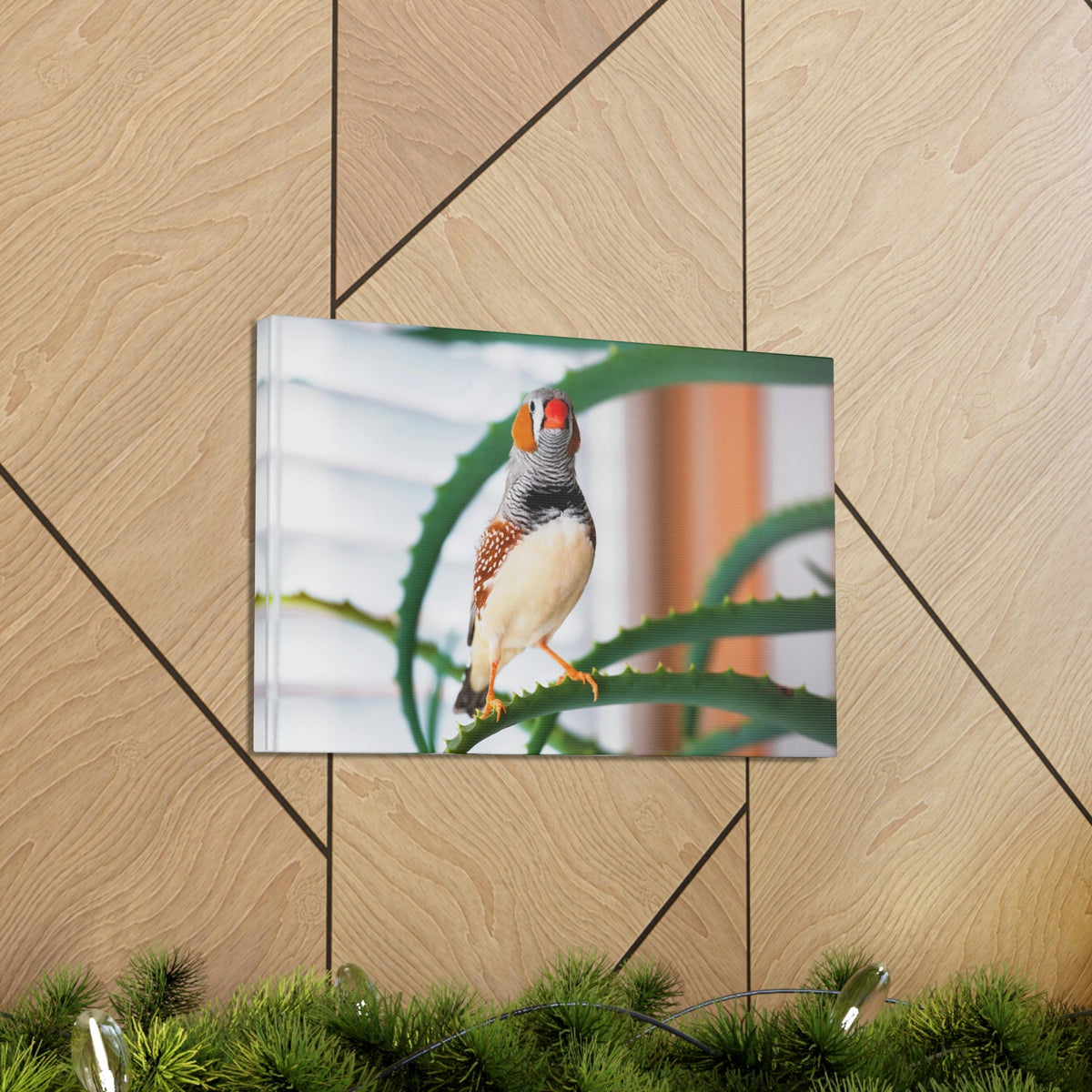 Funny Zebra Finch Silly Zebra Finch Scene Inside Wall Art Ready to Hang Unframed-Express Your Love Gifts
