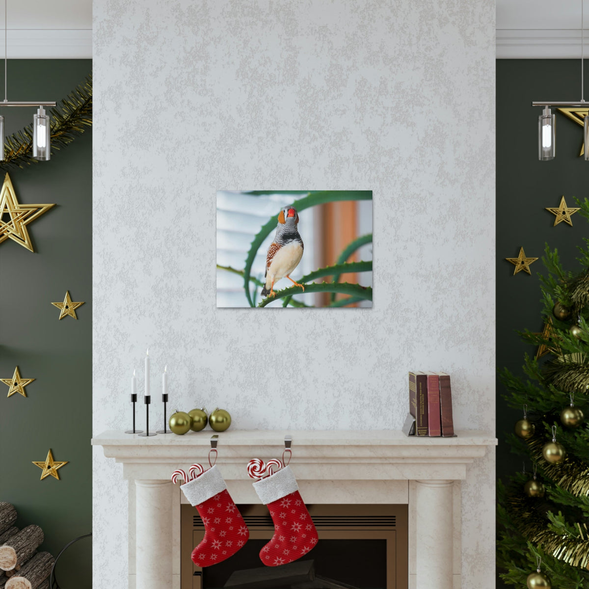 Funny Zebra Finch Silly Zebra Finch Scene Inside Wall Art Ready to Hang Unframed-Express Your Love Gifts