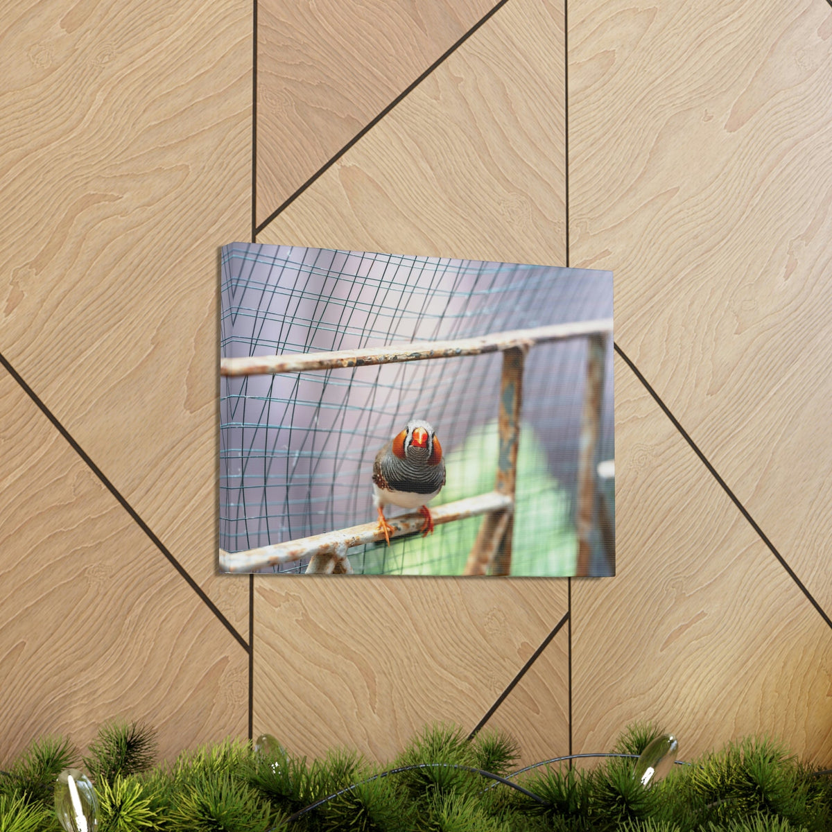Funny Zebra Finch Silly Zebra Finch Scene Outside Wall Art Ready to Hang Unframed-Express Your Love Gifts