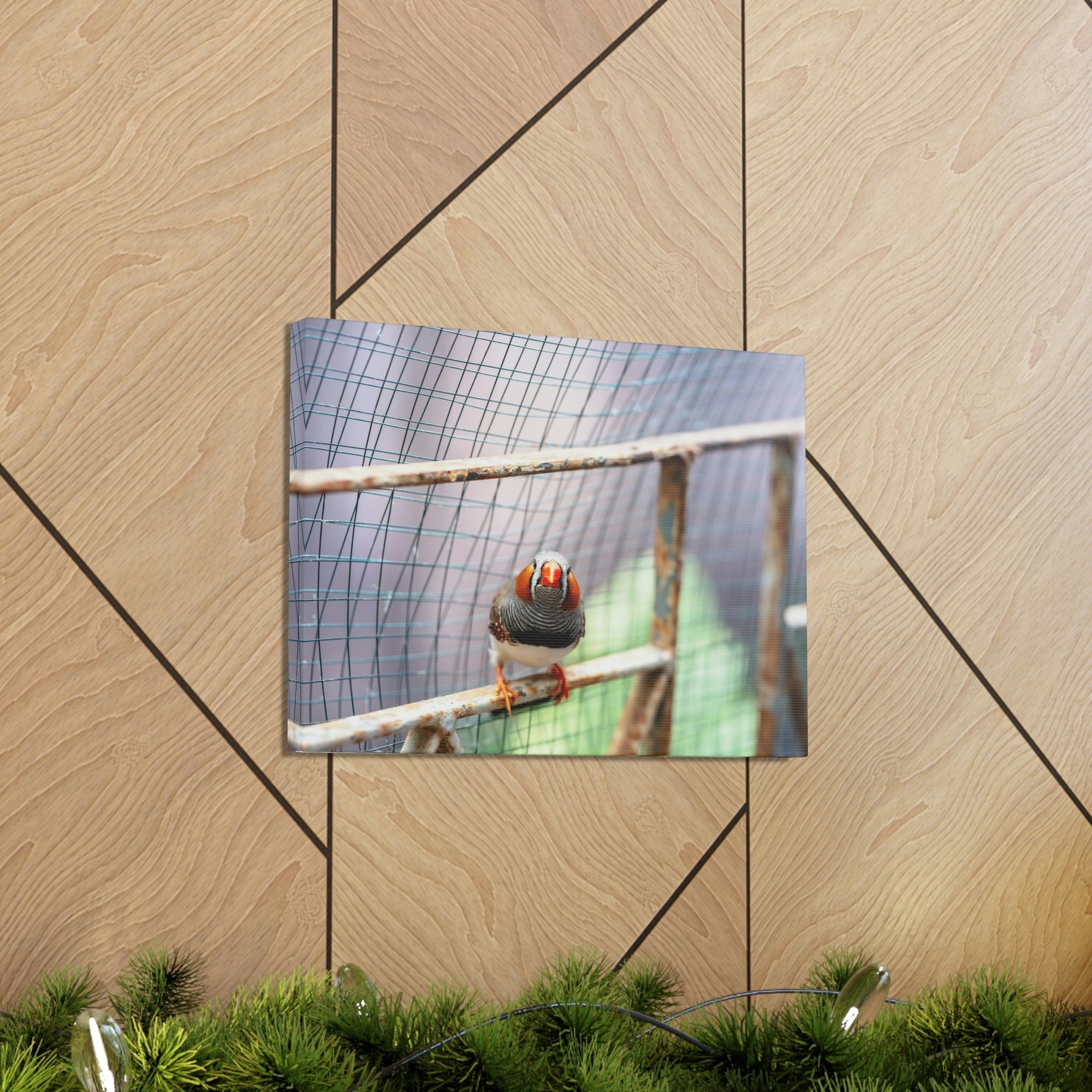 Funny Zebra Finch Silly Zebra Finch Scene Outside Wall Art Ready to Hang Unframed-Express Your Love Gifts