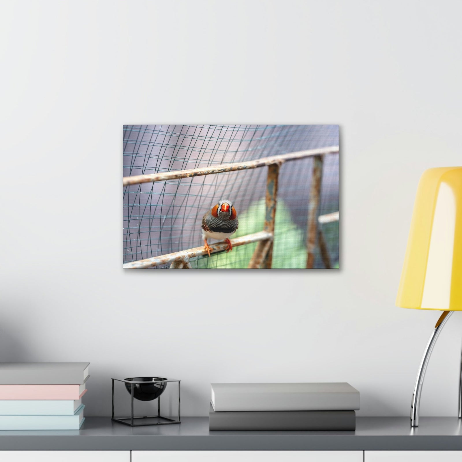 Funny Zebra Finch Silly Zebra Finch Scene Outside Wall Art Ready to Hang Unframed-Express Your Love Gifts