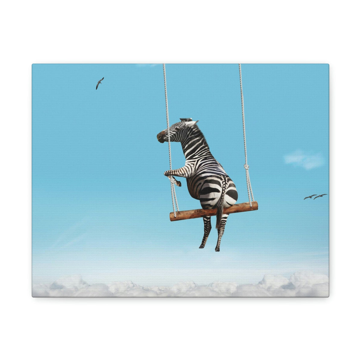 Funny Zebra Silly Zebra Outside Wall Art Ready To Hang Unframed-Express Your Love Gifts