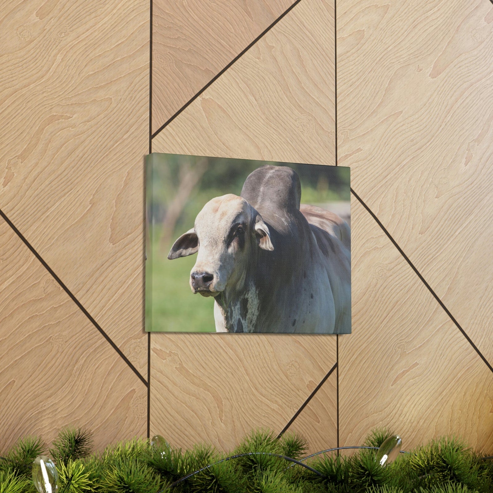 Funny Zebu Silly Zebu Scene Outside Wall Art Ready to Hang Unframed-Express Your Love Gifts