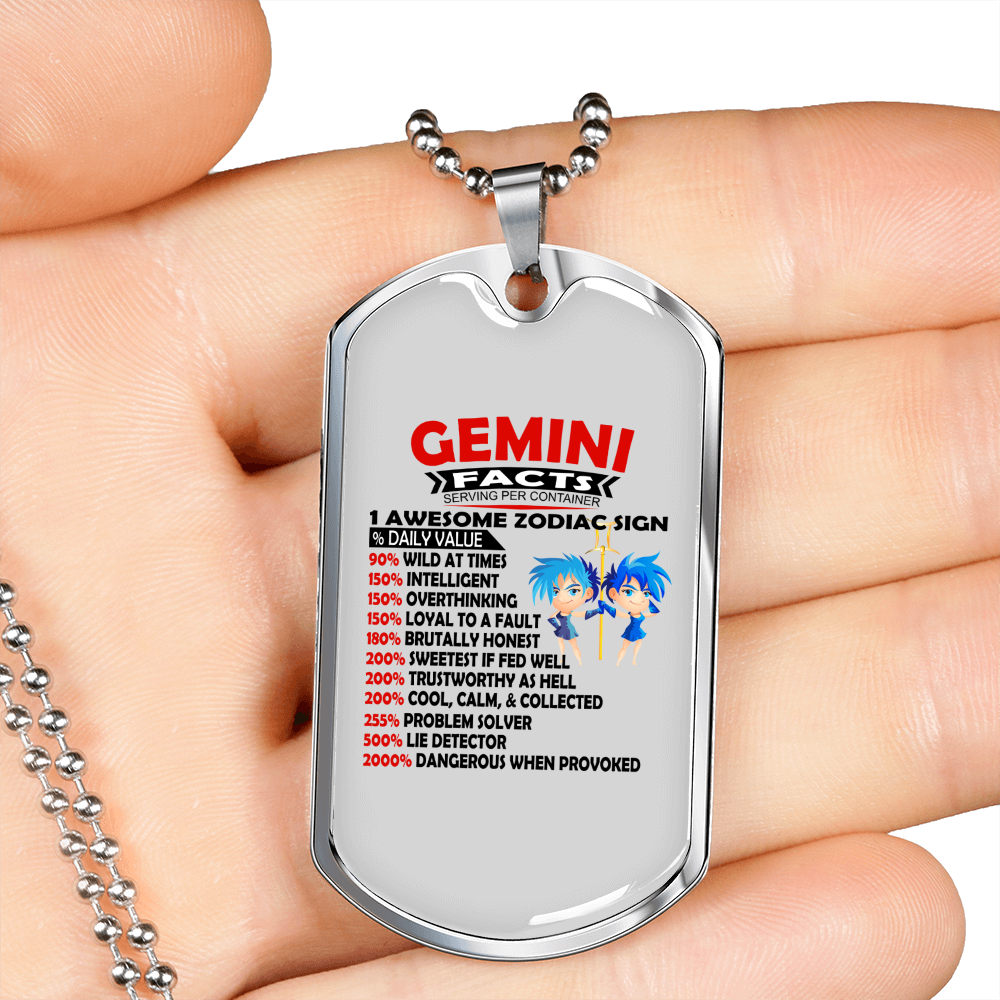 Gemini Facts Black Zodiac Necklace Stainless Steel or 18k Gold Dog Tag 24" Chain-Express Your Love Gifts