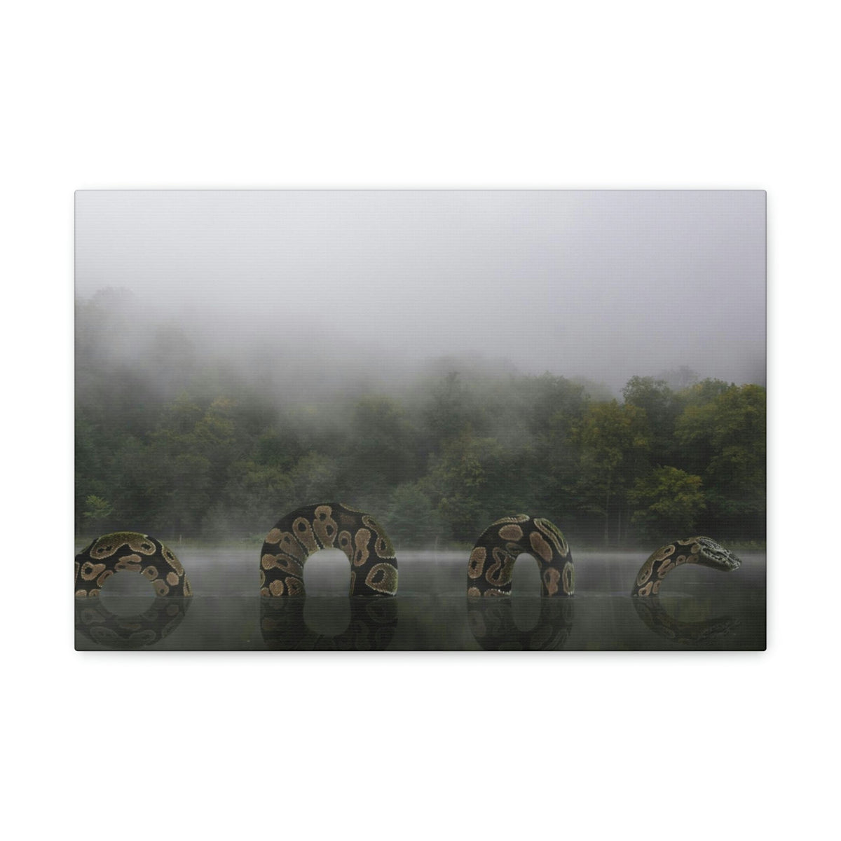 Giant Anaconda In Lake Anaconda Frightening Outside Wall Art Ready To Hang Unframed-Express Your Love Gifts