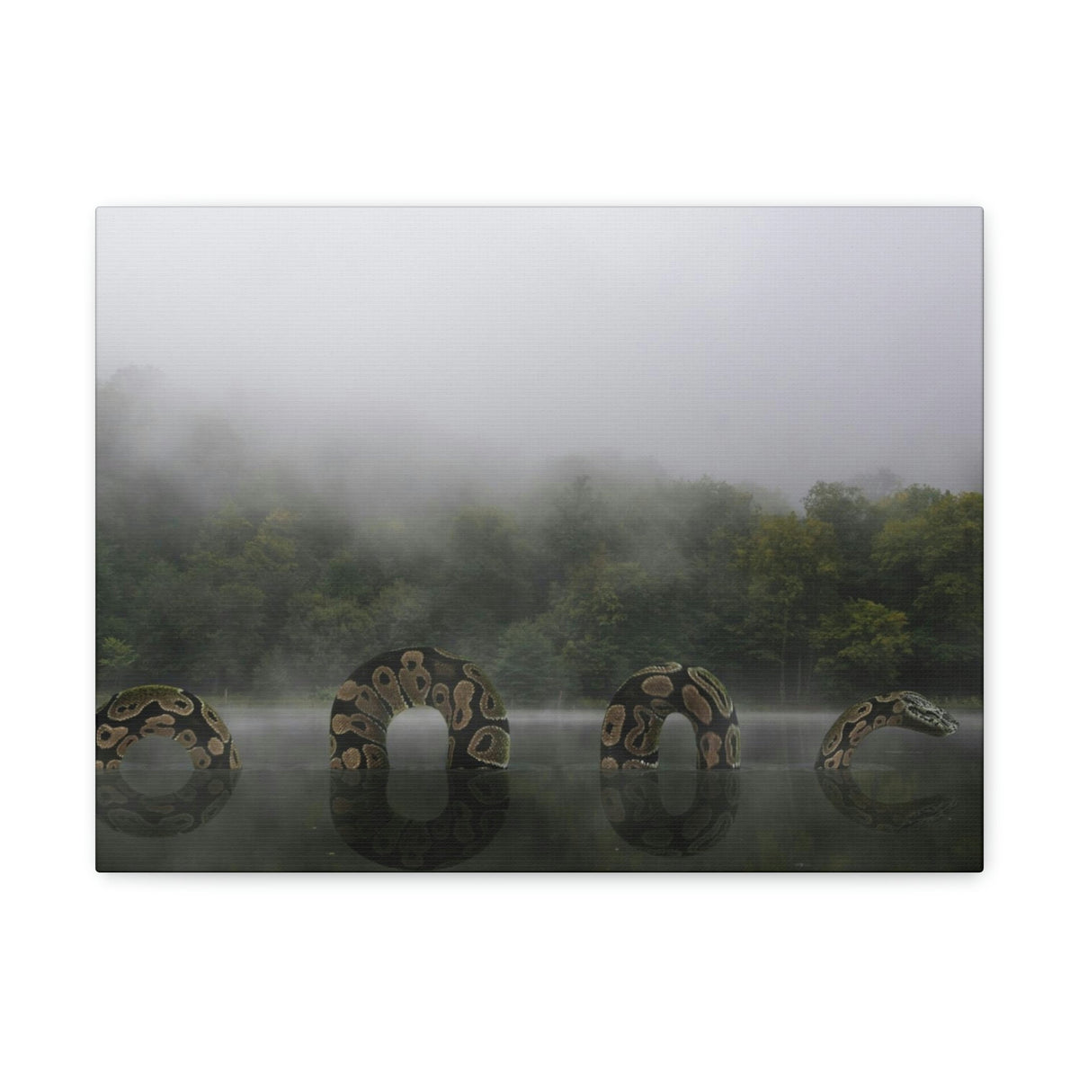 Giant Anaconda In Lake Anaconda Frightening Outside Wall Art Ready To Hang Unframed-Express Your Love Gifts