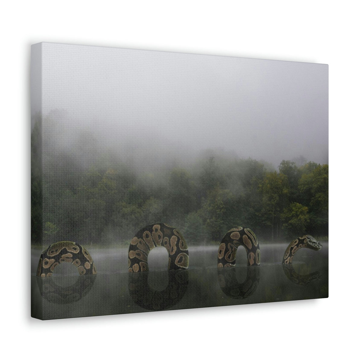 Giant Anaconda In Lake Anaconda Frightening Outside Wall Art Ready To Hang Unframed-Express Your Love Gifts