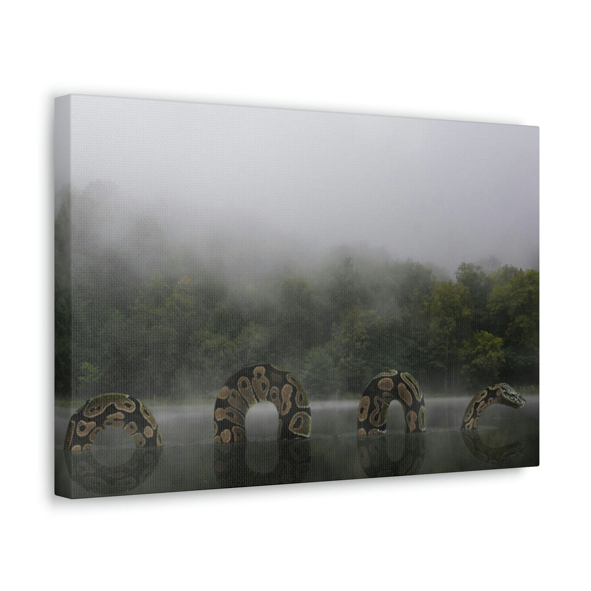 Giant Anaconda In Lake Anaconda Frightening Outside Wall Art Ready To Hang Unframed-Express Your Love Gifts