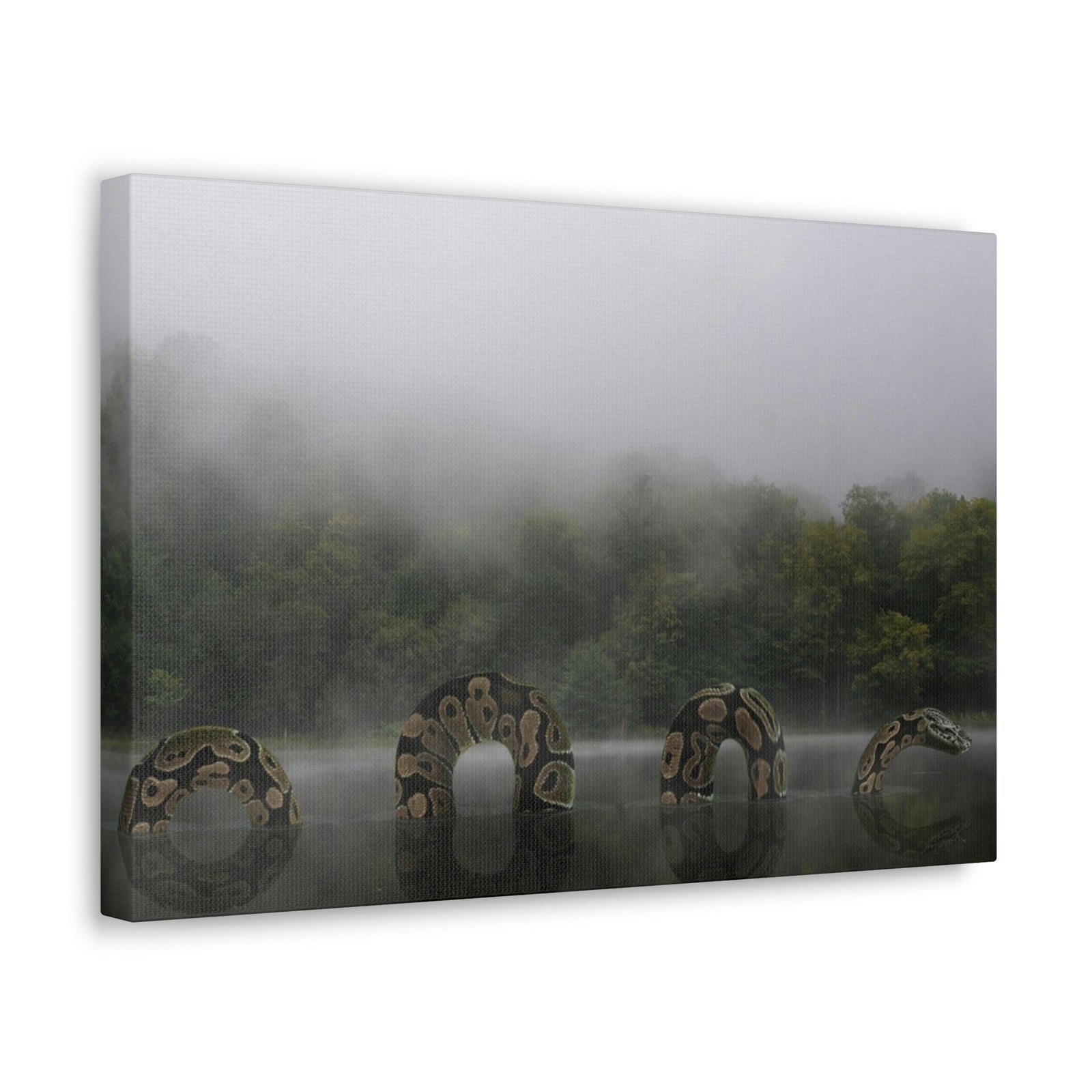 Giant Anaconda In Lake Anaconda Frightening Outside Wall Art Ready To Hang Unframed-Express Your Love Gifts