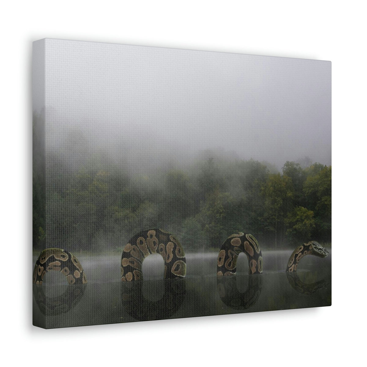 Giant Anaconda In Lake Anaconda Frightening Outside Wall Art Ready To Hang Unframed-Express Your Love Gifts