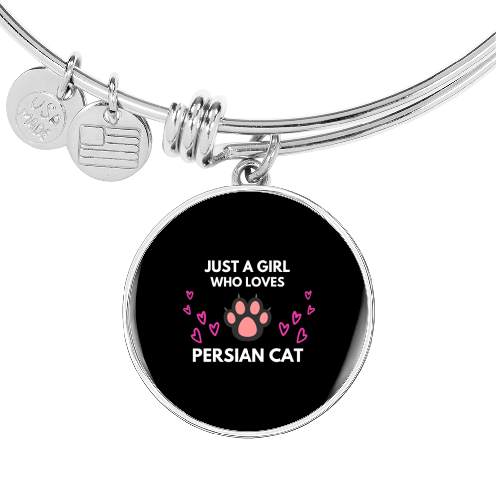 Girl Loves Persian Cat Bracelet Stainless Steel or 18k Gold Circle Bangle-Express Your Love Gifts