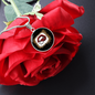 Girlfriend Gift Hello Gorgeous Circle Necklace Stainless Steel or 18k Gold 18-22-Express Your Love Gifts