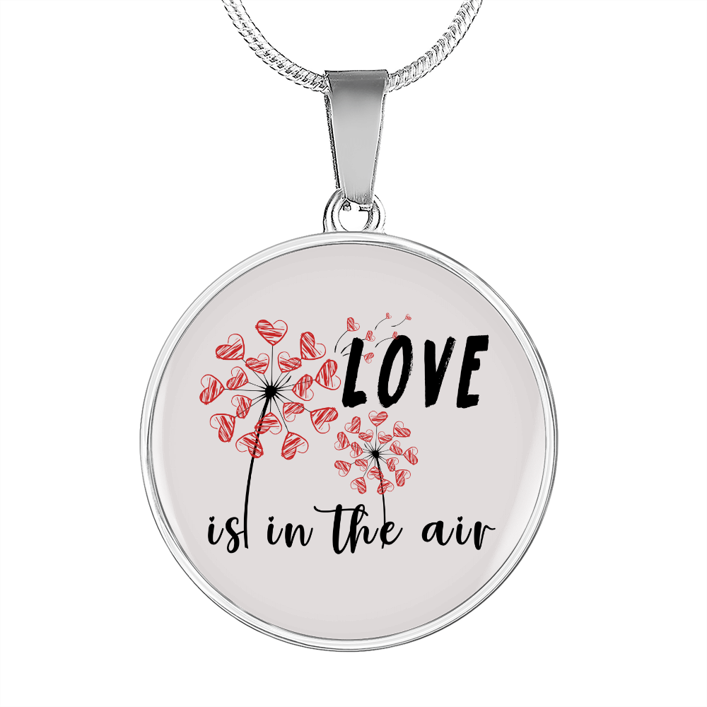 Girlfriend Gift Love in the Air Circle Necklace Stainless Steel or 18k Gold 18-22-Express Your Love Gifts