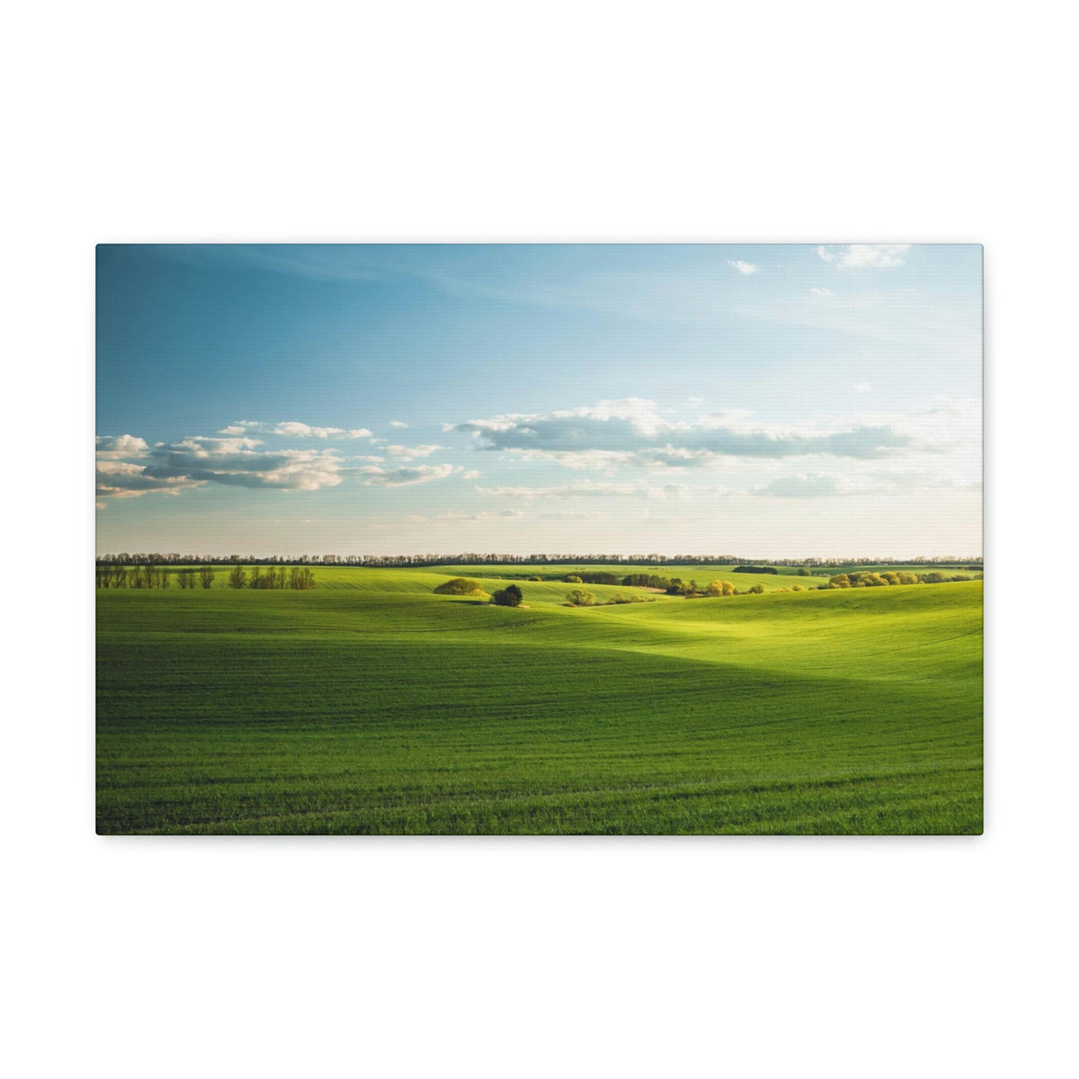 Glamorous Green Wavy Fields Scene Beautiful Astonishing and Splendid Farm Beauty Nature Scene Summer on the Farm Wall Art Ready to Hang Unframed-Express Your Love Gifts