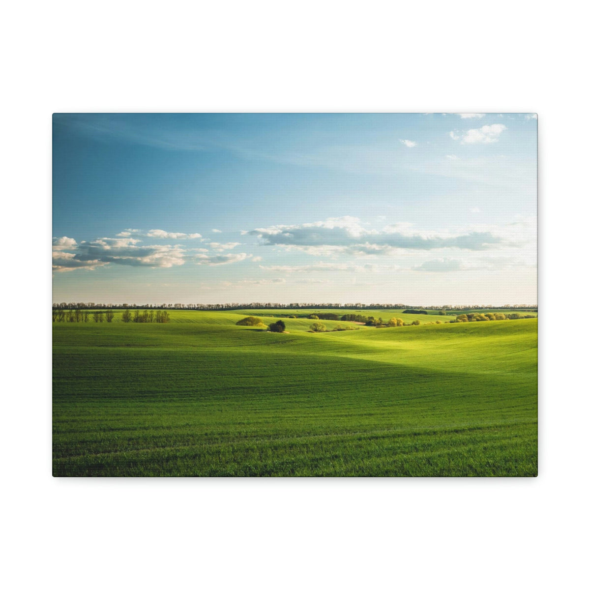 Glamorous Green Wavy Fields Scene Beautiful Astonishing and Splendid Farm Beauty Nature Scene Summer on the Farm Wall Art Ready to Hang Unframed-Express Your Love Gifts