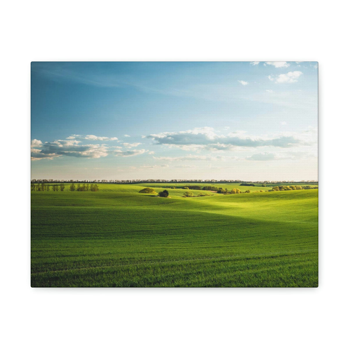 Glamorous Green Wavy Fields Scene Beautiful Astonishing and Splendid Farm Beauty Nature Scene Summer on the Farm Wall Art Ready to Hang Unframed-Express Your Love Gifts