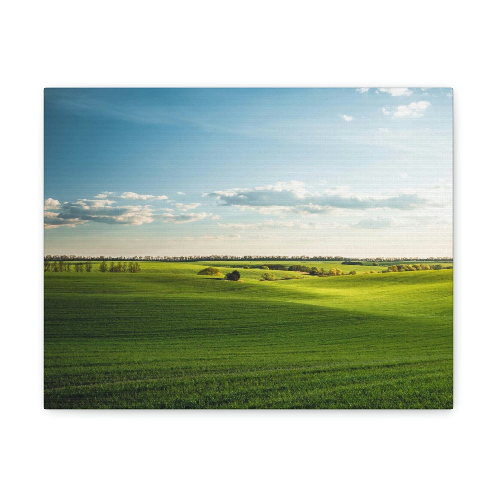 Glamorous Green Wavy Fields Scene Beautiful Astonishing and Splendid Farm Beauty Nature Scene Summer on the Farm Wall Art Ready to Hang Unframed-Express Your Love Gifts