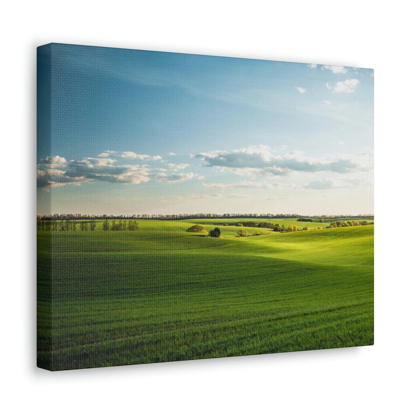 Glamorous Green Wavy Fields Scene Beautiful Astonishing and Splendid Farm Beauty Nature Scene Summer on the Farm Wall Art Ready to Hang Unframed-Express Your Love Gifts